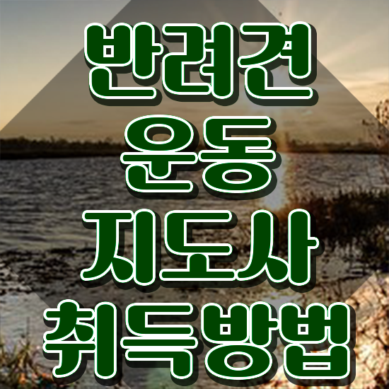  반려견운동지도사1급 , 온라인으로 손쉽게 반려견운동지도사자격증 취득한 노하우