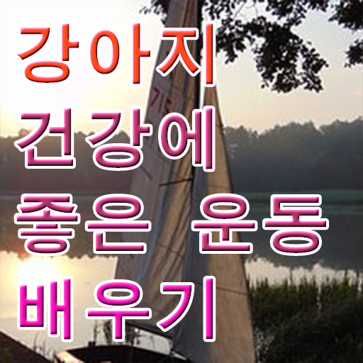  40대후반자격증 , 반려견운동지도사 취득한 과정 , 취업관련 정보