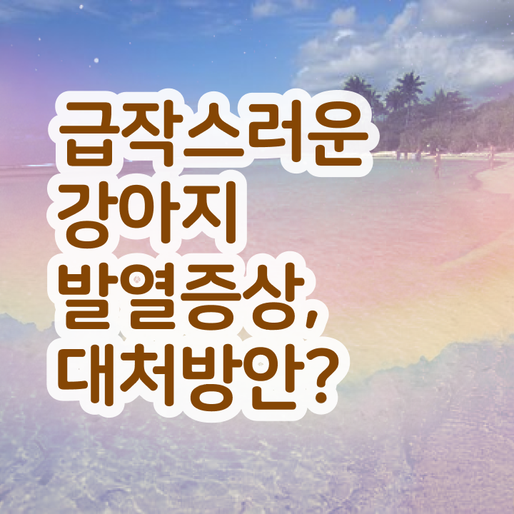  반려견 자격증 종류 , 반려동물관리사 자격증 온라인으로 간단히 취득한 과정 요약