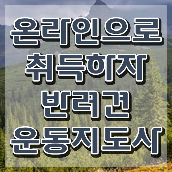  반려 동물보건사 자격증 , 반려견운동지도사 중년 직장인도 초단기 준비한 꿀팁 모음