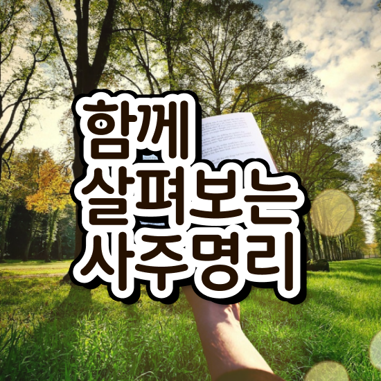  사주 보는법 , 심리상담사 자격증 합격한 팁 확인해봅시다