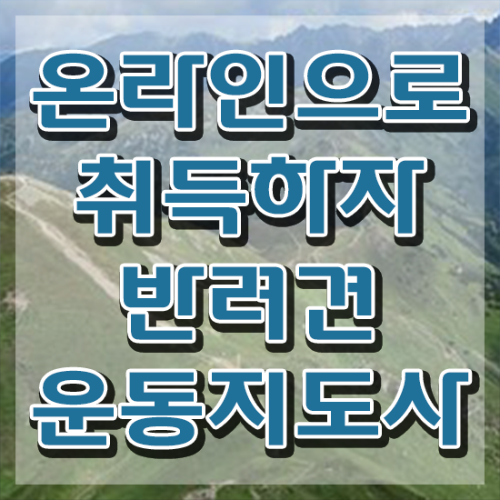  , 반려견운동지도사 끝냈던 꿀팁 모음