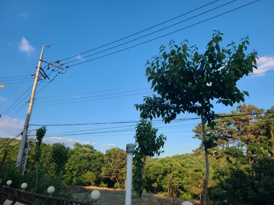 해뜨락펜션 사진 5