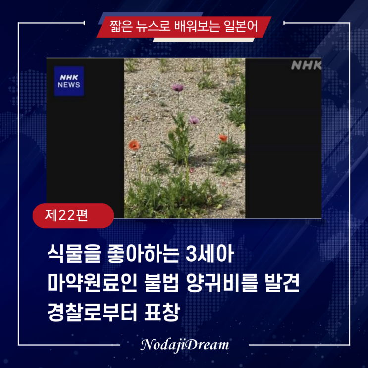  일본어 뉴스: “식물을 좋아하는 3세아 불법 양귀비를 발견해 경찰로부터 표창”