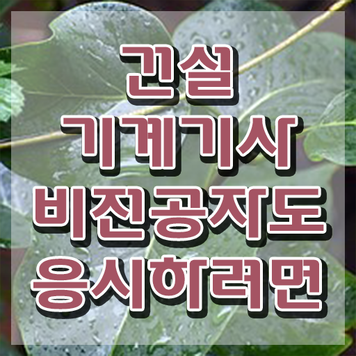 건설기계설비기사 비전공자 건설기계설비기사 시험응시자격 인강만 듣고 5개월 만에 준비한 후기