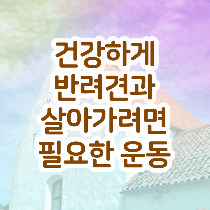  , 반려견운동지도사 온라인 교육원 통해서 조건없이 쉽게 준비했던 과정