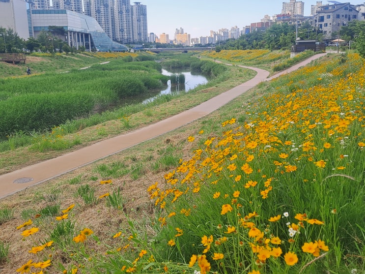  금연일기(금연43일차, 금주 금커피16일차)