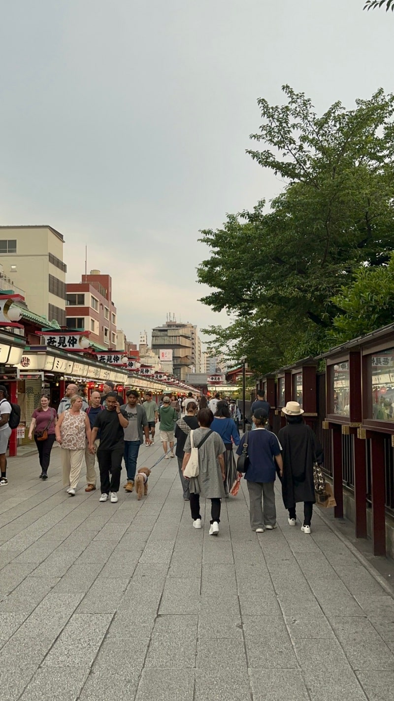 🗼 도쿄 여행 1일차 :: 시부야,롯폰기,아사쿠사 까지 하루만에! (이동경로/시부야스카이/도쿄타워/프린스시바공원/아사쿠사/센소지) :  네이버 블로그