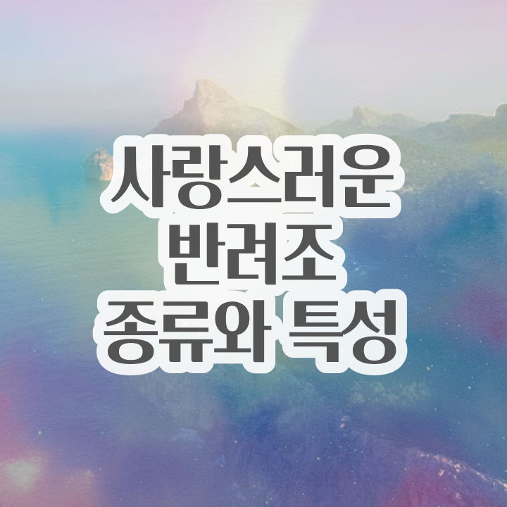  앵무새 , 반려조관리사 자격증 합격한 후기 궁금증 해결