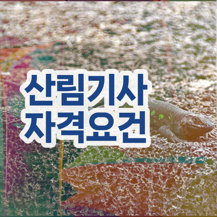  산림기사 학점은행제 산림기사 응시자격 온라인으로 4달 안에 준비한 과정