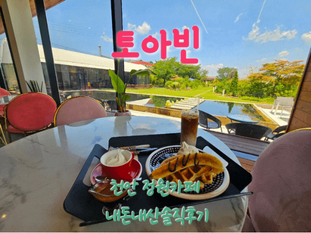  토아빈 천안정원카페 내돈내산솔직후기