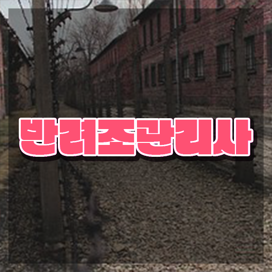  앵무새키우기 , 반려조관리사 자격증 취득한 정보 궁금하다면