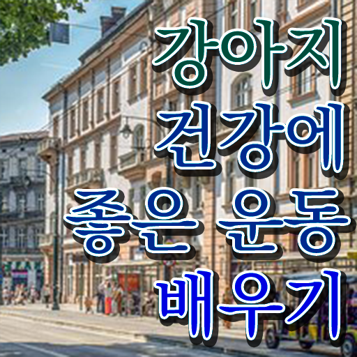  동물관련 직업 , 반려견운동지도사 온라인으로 취득방법