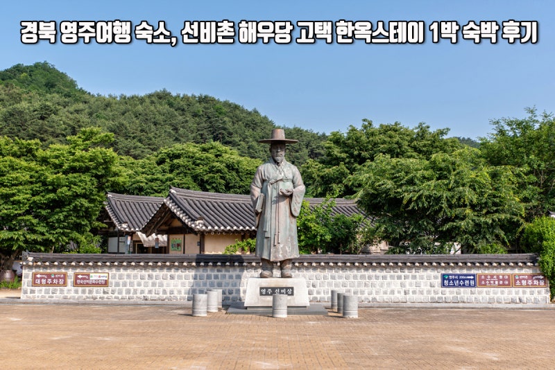 사진 8