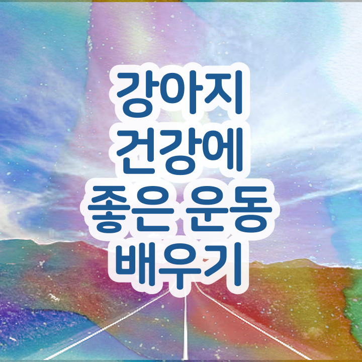  , 반려견운동지도사 온라인 과정만으로 완료한 비법