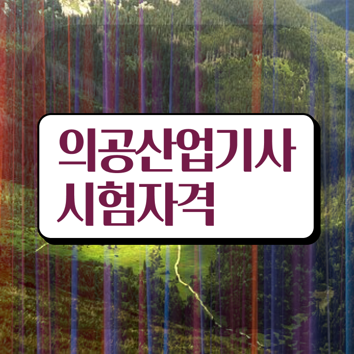  의공산업기사 응시조건 집에서 온라인으로 4달만에 완료한 방법