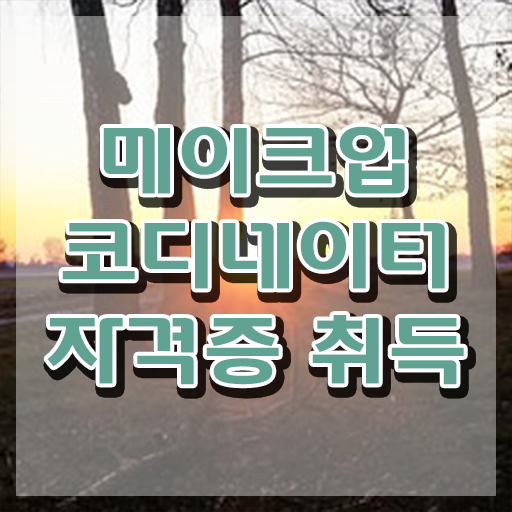  남자 메이크업 아티스트 이미지 , 메이크업코디네이터 자격증 20일 만에 학습한 후기 및 전망