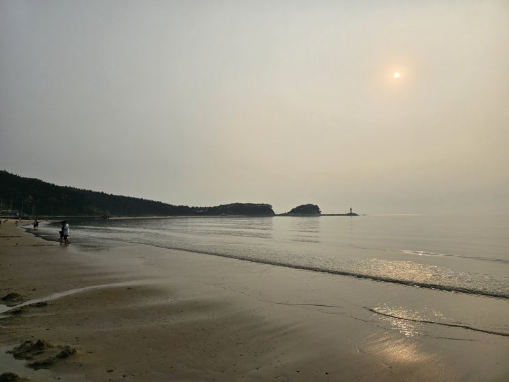 만리포해수욕장 충남 태안 여행으로 가볼만한 곳 만리포해수욕장 충남 태안 여행으로 가볼만한 곳