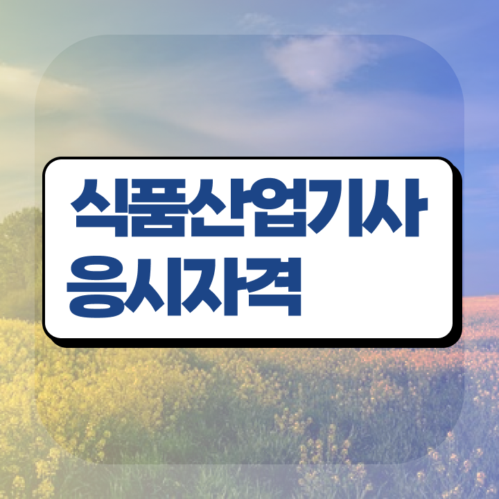  식품산업기사 실기 식품산업기사 시험자격 인강으로 4달 안에 완료한 노하우