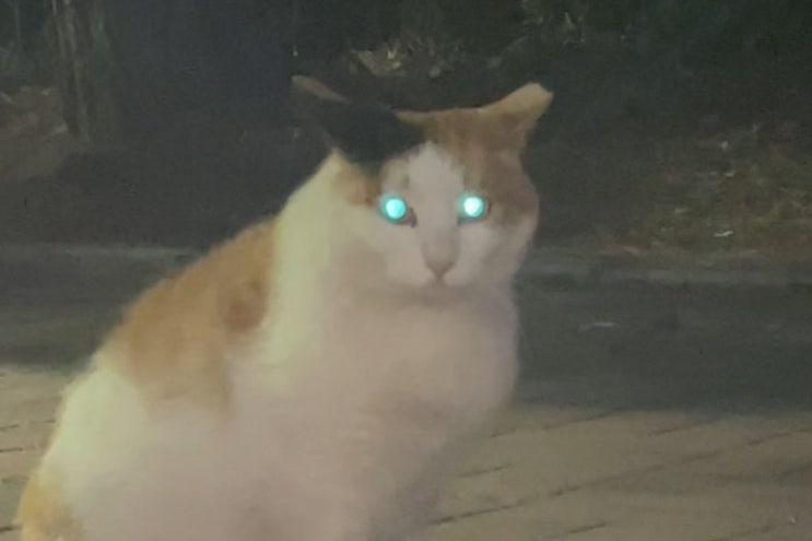  6월 첫째주, 후루룩 기록
