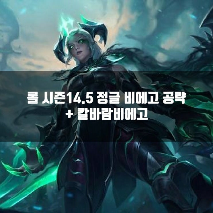롤 비에고룬, 템트리 + 칼바람 비에고