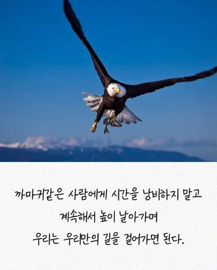딸이 결혼한다면 배우자감으로는 이런사람을 데려왔으면...(부부사이해서는안되는말) 딸이 결혼한다면 배우자감으로는 이런사람을 데려왔으면...(부부사이해서는안되는말)