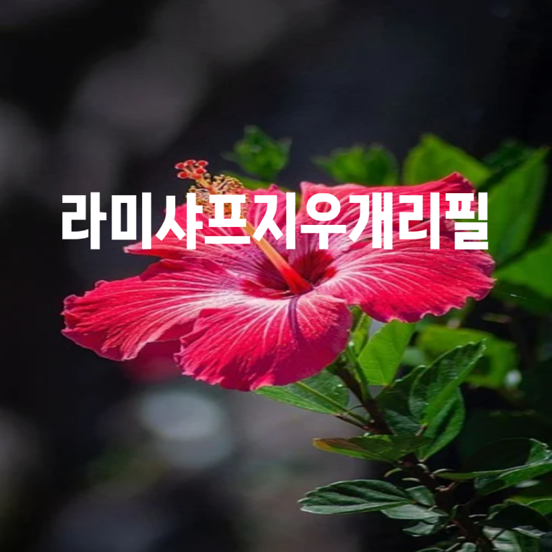 라미샤프지우개리필 추천 상품 TOP9: 사용 팁과 비교분석으로 선택의 지혜를 제공합니다