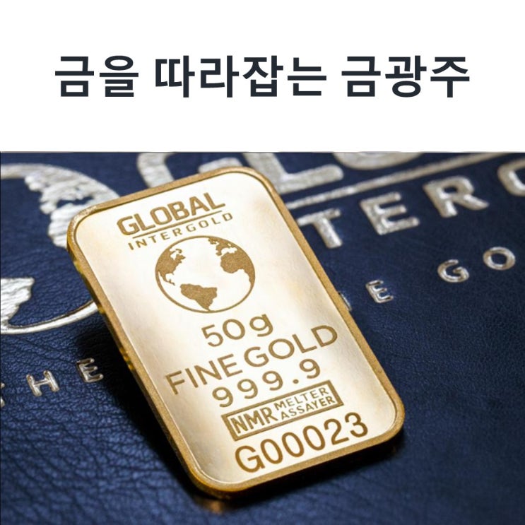  금을 따라잡는 금광주