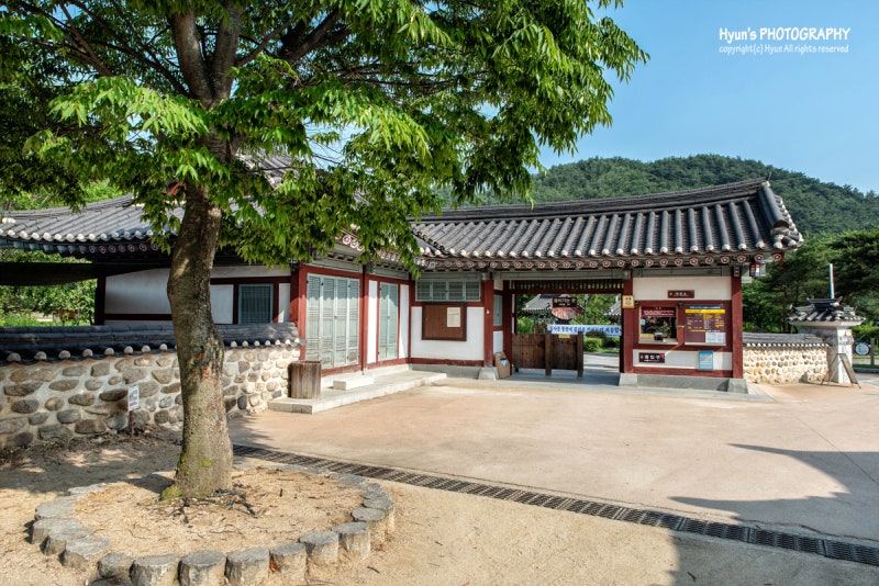 사진 9