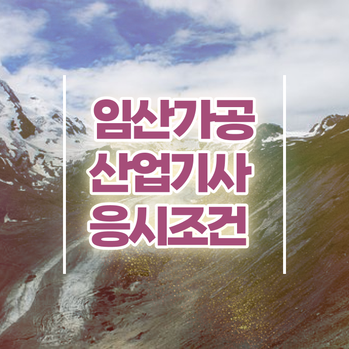  임산가공산업기사 실기 합격률 임산가공산업기사 응시조건 인강으로 빠르게 준비한 방법