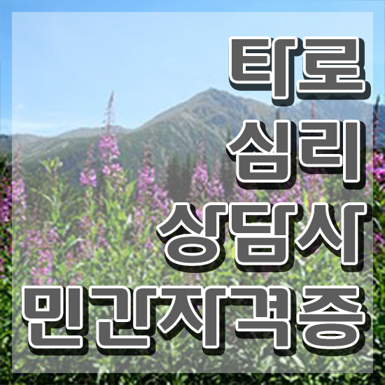  전화타로무료 , 타로상담전문가자격증 준비 과정 및 무료 교육기관