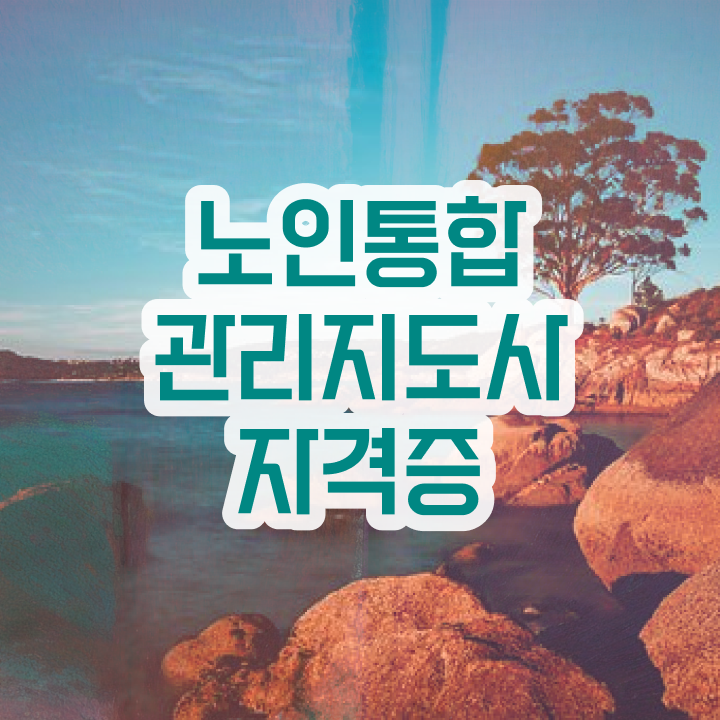  노인통합관리지도사 자격요건 , 노인통합관리지도사 자격증 쉽고 간편하게 준비한 방법 요점정리