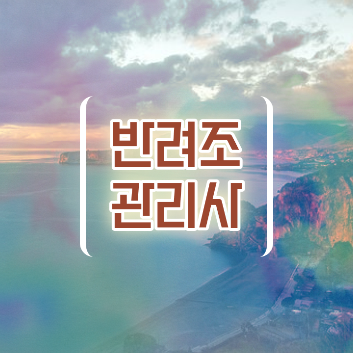  앵무새키우기 , 반려조관리사 자격증 취득한 노하우 짚어드려요