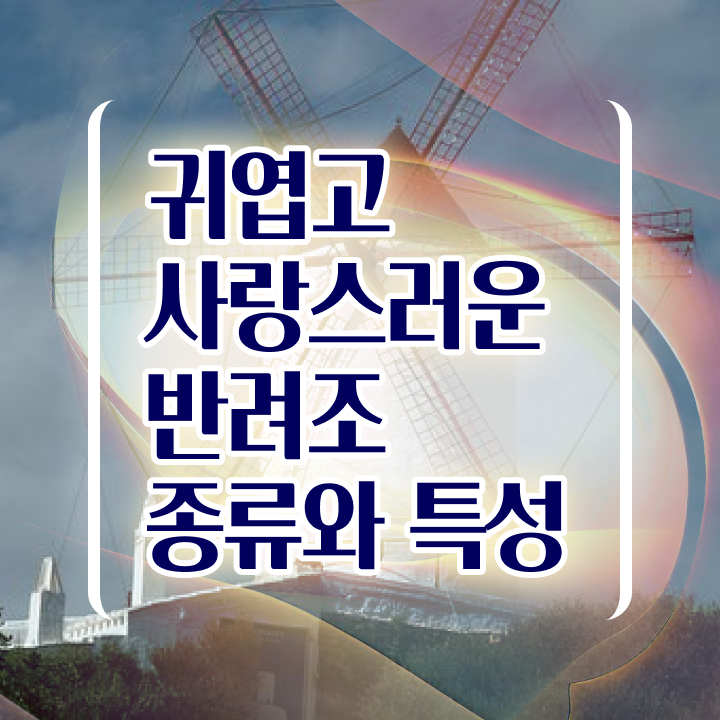  애완앵무새키우기 , 반려조관리사 자격증 합격한 비법 요약해봤어요