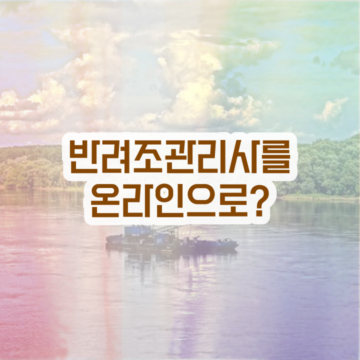  코뉴어 앵무새 키우기 , 반려조관리사 자격증 비용없이 온라인으로 합격한 비법 및 활용 방법