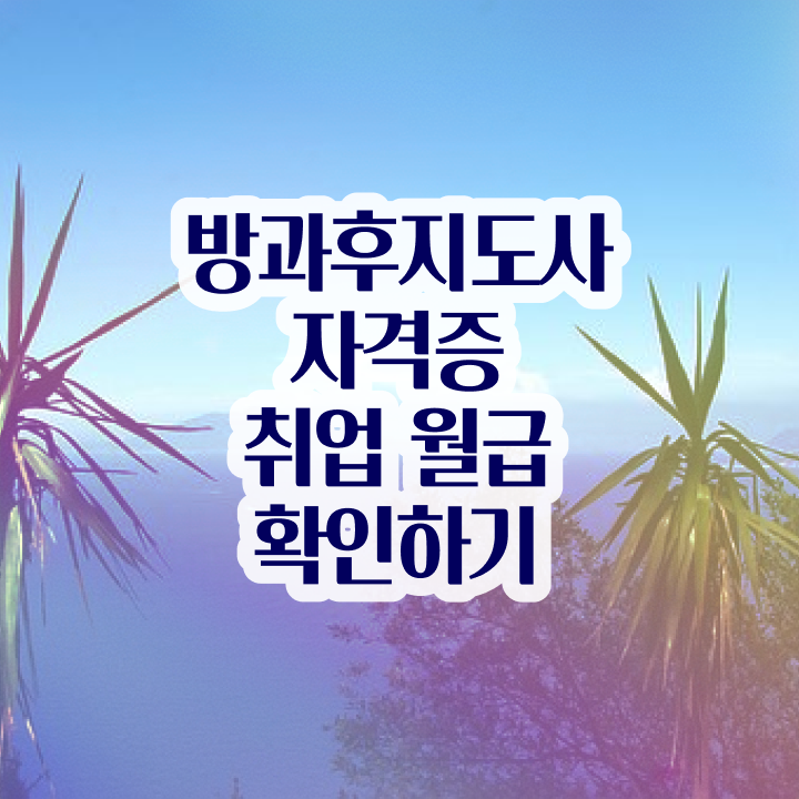 방과후보육교사 , 간단하게 방과후지도사자격증 합격한 후기