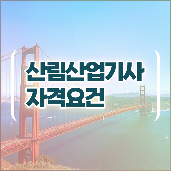  산림산업기사 시험 자격 산림산업기사 시험자격 온라인 과정으로 1학기 만에 성공한 노하우