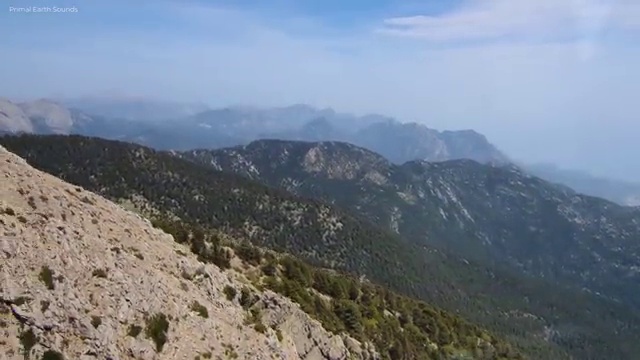  타로카드 , 타로상담전문가자격증 간단하게 취득 정보 핵심 공개
