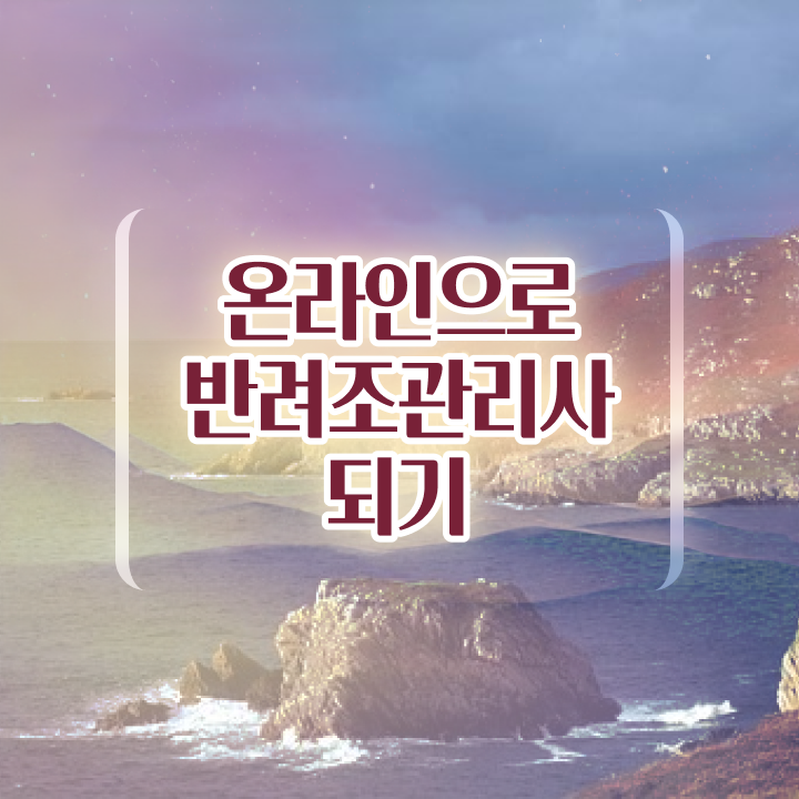  앵무새종류 , 반려조관리사 자격증 1급,2급 동시에 취득한 방법 체크해보세요