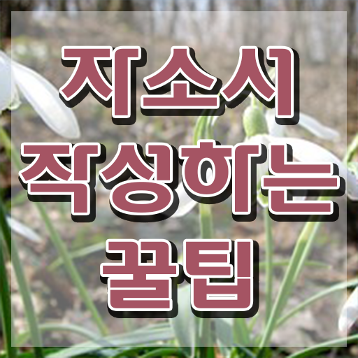 자기소개서 첨삭 비용 , 자기소개서지도사 자격증 15일 만에 학습한 후기 및 취업 전망