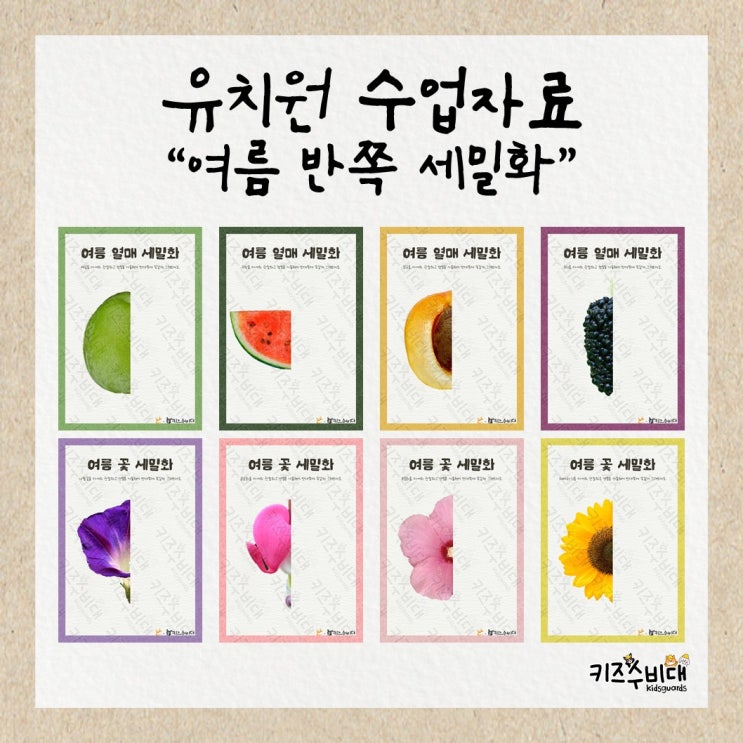  [유치원 수업자료] 여름생태 반쪽 세밀화 활동자료