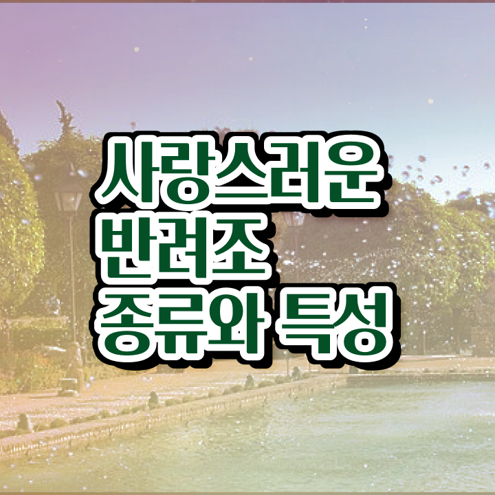  애완조류 , 반려조관리사 자격증 독학으로 취득한 노하우 , 채용 정보