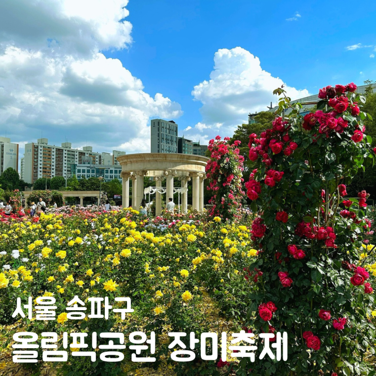  올림픽공원 장미축제 로즈아워페스타 실시간 위치 주차