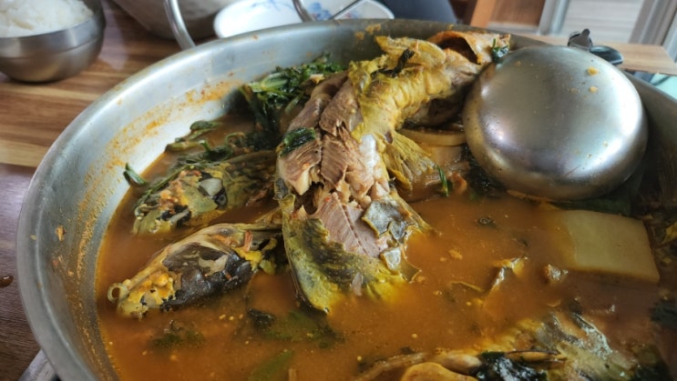  충남 금산 월영산 출렁다리 맛집 오아시스가든 영동 현지인 민물매운탕 어죽 충북 영동군 맛집