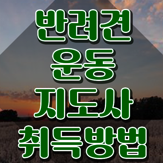  부산 강아지 훈련사 반려견운동지도사 독학으로 취득했던 후기