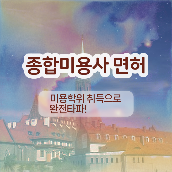  눈썹문신 모양 이미지 , 반영구학원 준비 면허증 취득 꿀팁 및 학습내용 알고싶다면