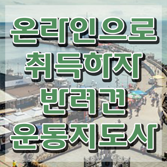  50대남자취업 , 반려견운동지도사 온라인 과정 100%로 쉽고 빠르게 준비하는 노하우