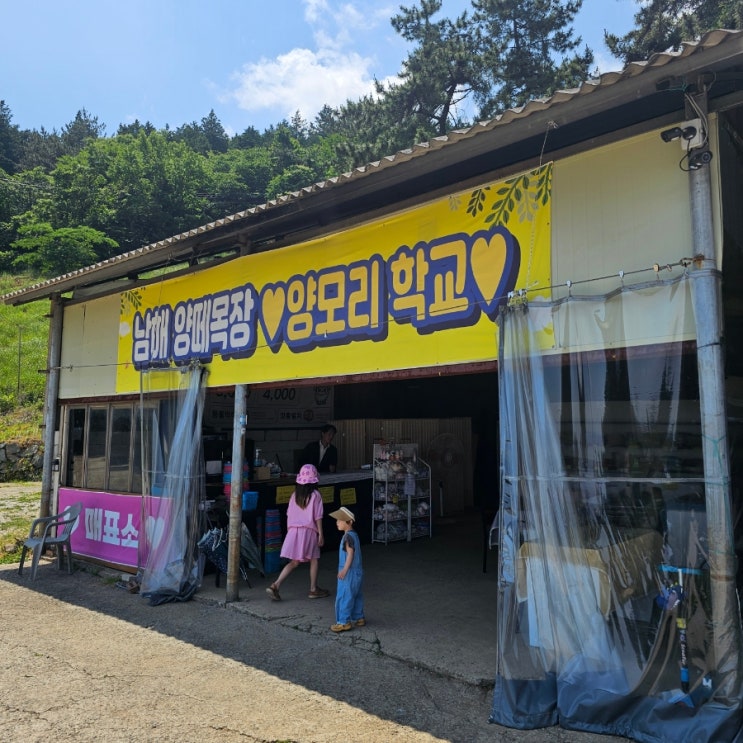  남해 양떼목장 아이 동반 남해 여행 코스 양모리학교