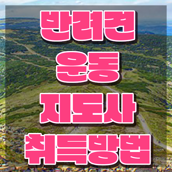  동물보건사 책 , 반려견운동지도사 비전공자도 온라인 과정 100%로 쉽게 끝낼수 있었던 과정