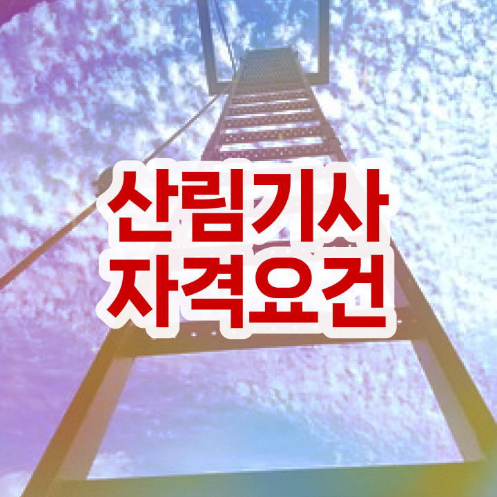  산림기사 시험 산림기사 자격요건 인강으로 간단하게 끝낸 팁